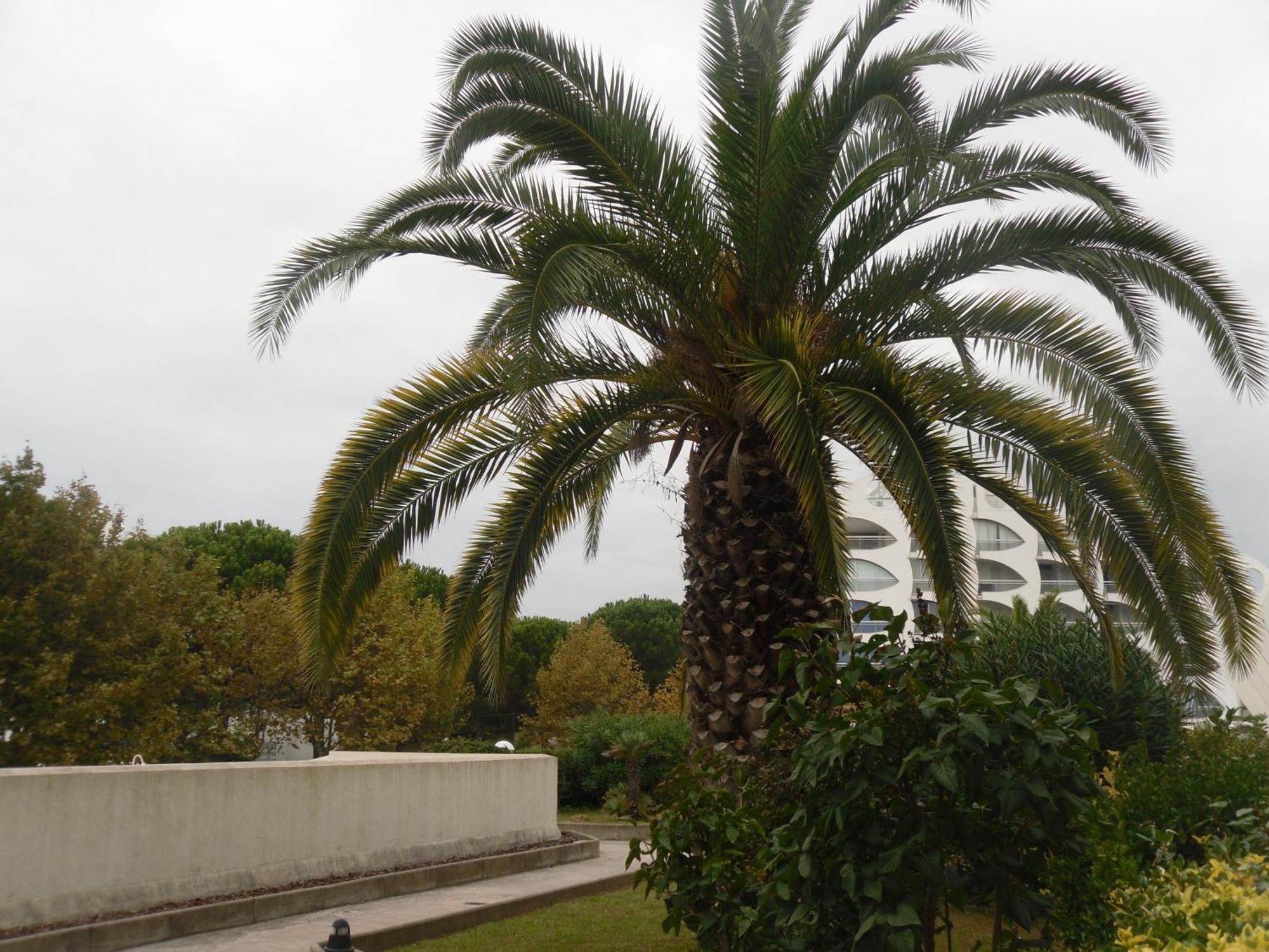 Vittoria Immobilier 9 -Reglement Sur Place - Cheques Vacances Acceptes Λα Γκραντ-Μοτ Εξωτερικό φωτογραφία